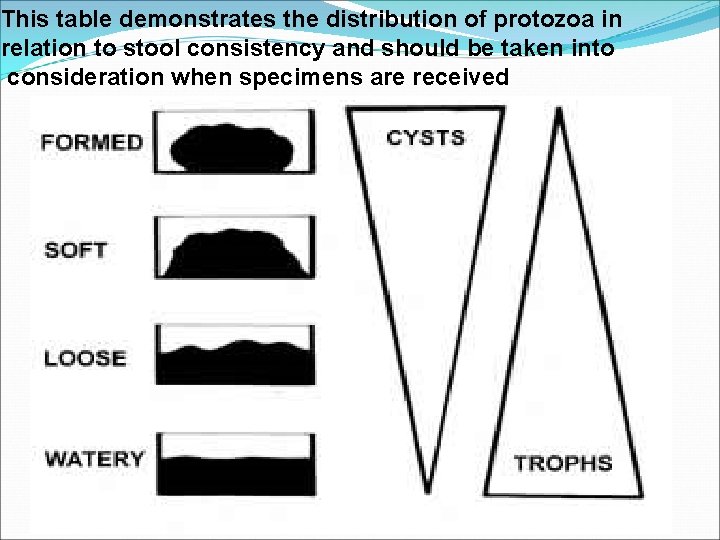 This table demonstrates the distribution of protozoa in relation to stool consistency and should