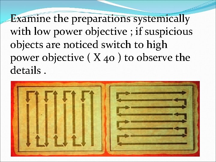 Examine the preparations systemically with low power objective ; if suspicious objects are noticed