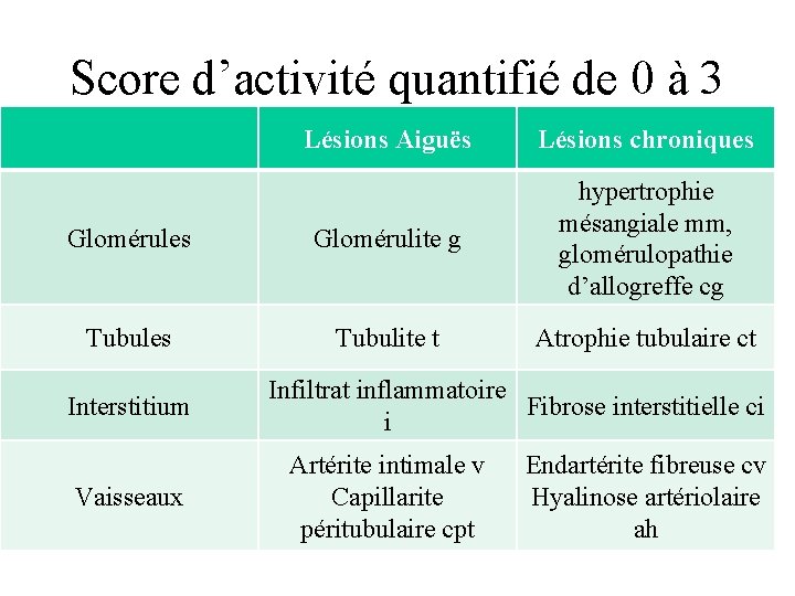 Score d’activité quantifié de 0 à 3 Lésions Aiguës Lésions chroniques Glomérulite g hypertrophie
