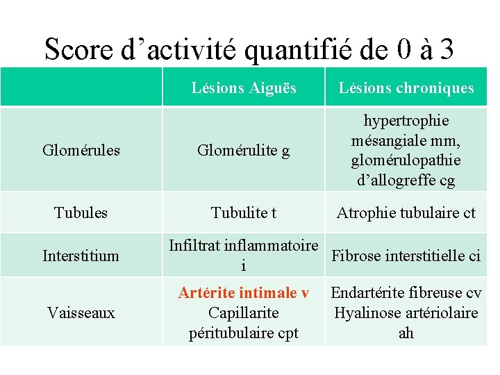 Score d’activité quantifié de 0 à 3 Lésions Aiguës Lésions chroniques Glomérulite g hypertrophie