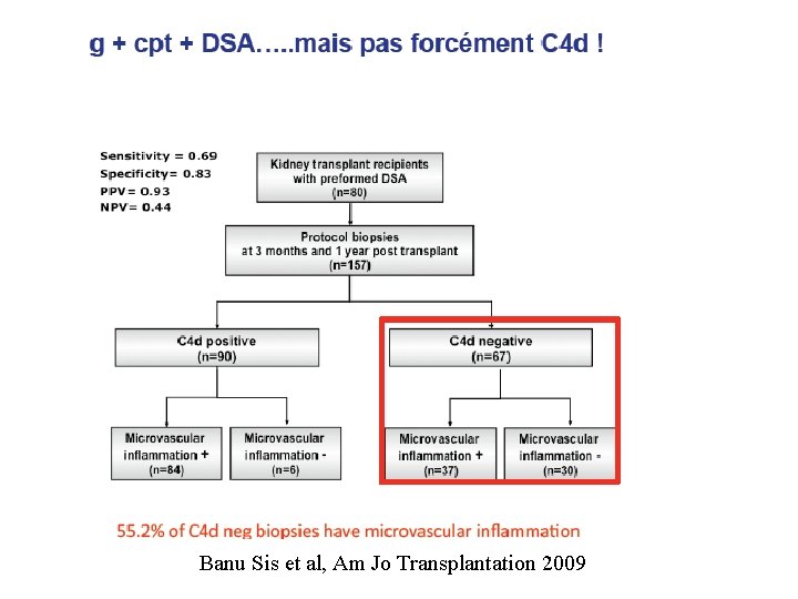 Banu Sis et al, Am Jo Transplantation 2009 