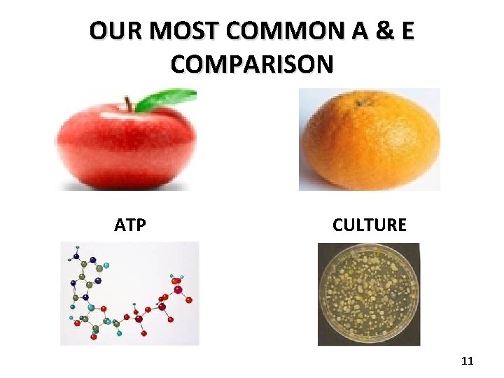 OUR MOST COMMON A & E COMPARISON ATP CULTURE 11 