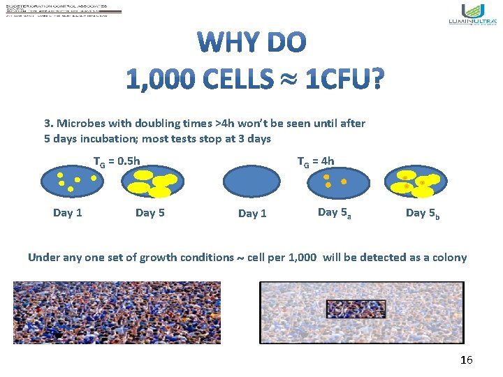 3. Microbes with doubling times >4 h won’t be seen until after 5 days