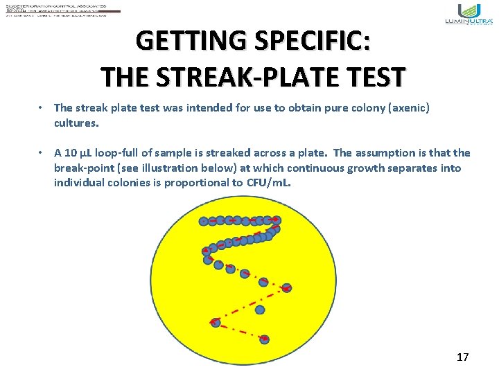 GETTING SPECIFIC: THE STREAK-PLATE TEST • The streak plate test was intended for use