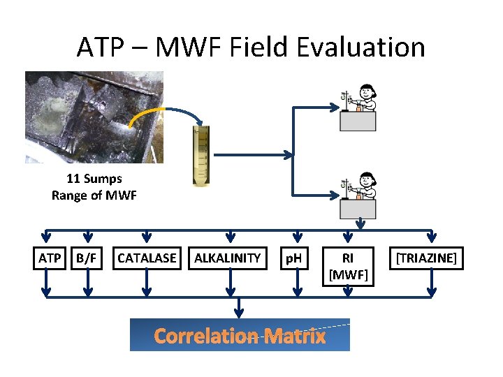 ATP – MWF Field Evaluation 11 Sumps Range of MWF ATP B/F CATALASE ALKALINITY