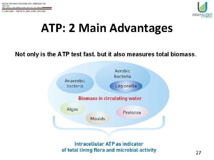 ATP: 2 Main Advantages Not only is the ATP test fast, but it also