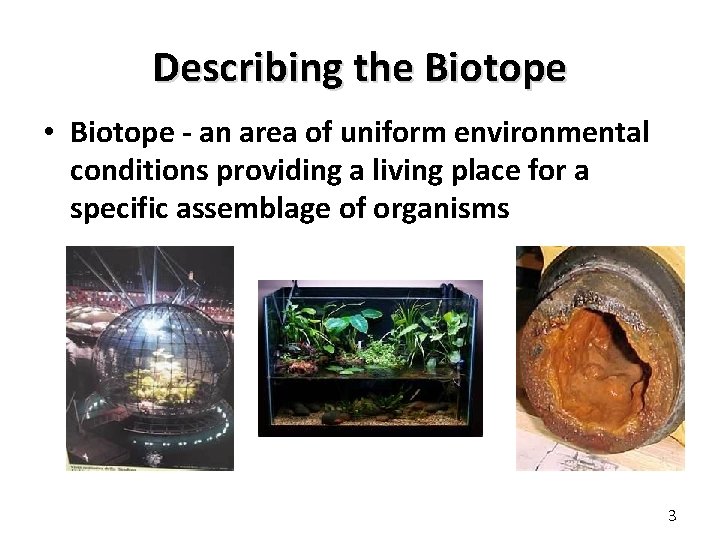 Describing the Biotope • Biotope - an area of uniform environmental conditions providing a