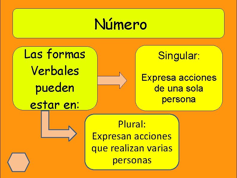 Número Las formas Verbales pueden estar en: Singular: Expresa acciones de una sola persona