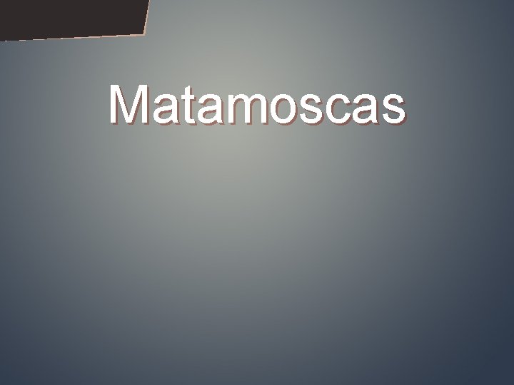 Matamoscas 