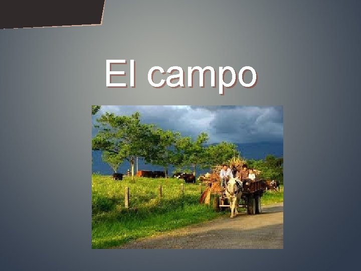 El campo 