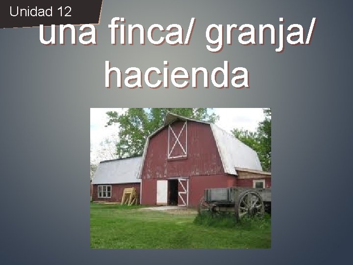 Unidad 12 una finca/ granja/ hacienda 