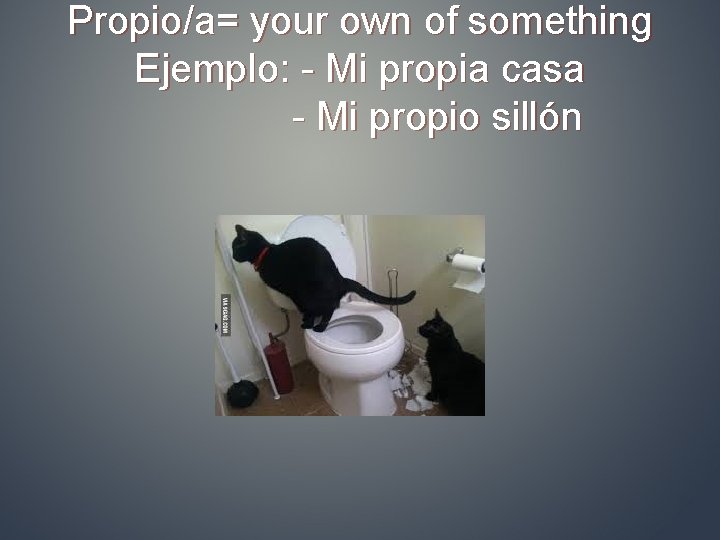 Propio/a= your own of something Ejemplo: - Mi propia casa - Mi propio sillón