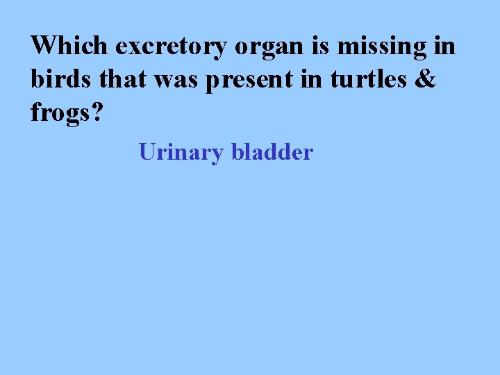 Which excretory organ is missing in birds that was present in turtles & frogs?
