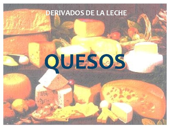 DERIVADOS DE LA LECHE QUESOS 