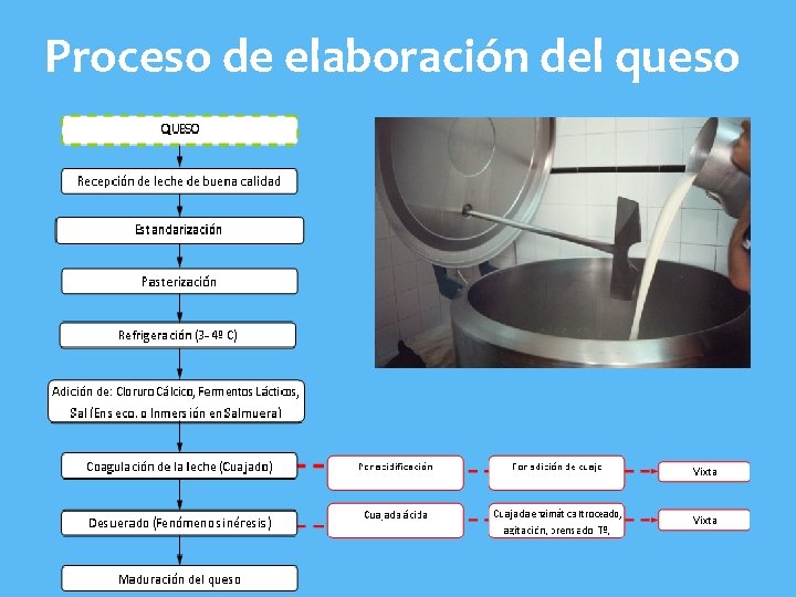 Proceso de elaboración del queso 