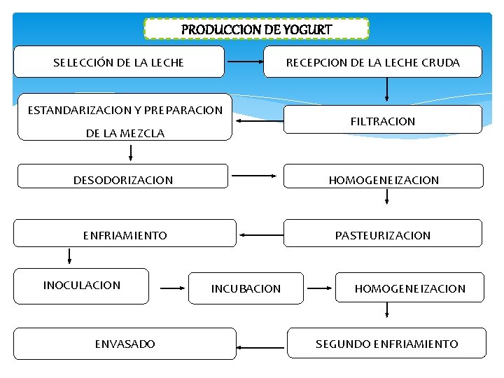 PRODUCCION DE YOGURT SELECCIÓN DE LA LECHE RECEPCION DE LA LECHE CRUDA ESTANDARIZACION Y