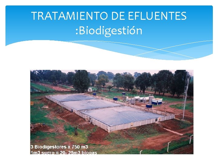 TRATAMIENTO DE EFLUENTES : Biodigestión 