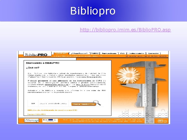 Bibliopro http: //bibliopro. imim. es/Biblio. PRO. asp 