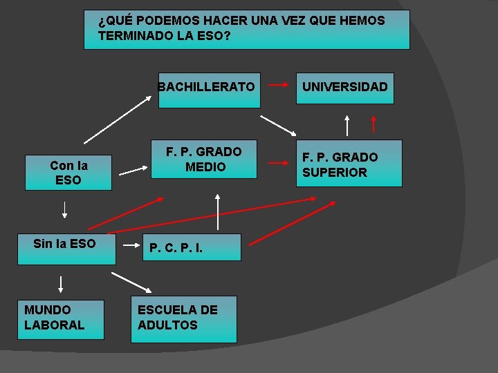 ¿QUÉ PODEMOS HACER UNA VEZ QUE HEMOS TERMINADO LA ESO? BACHILLERATO Con la ESO