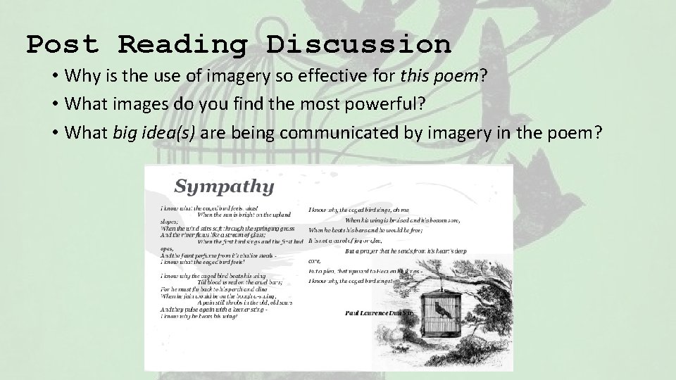 Post Reading Discussion • Why is the use of imagery so effective for this