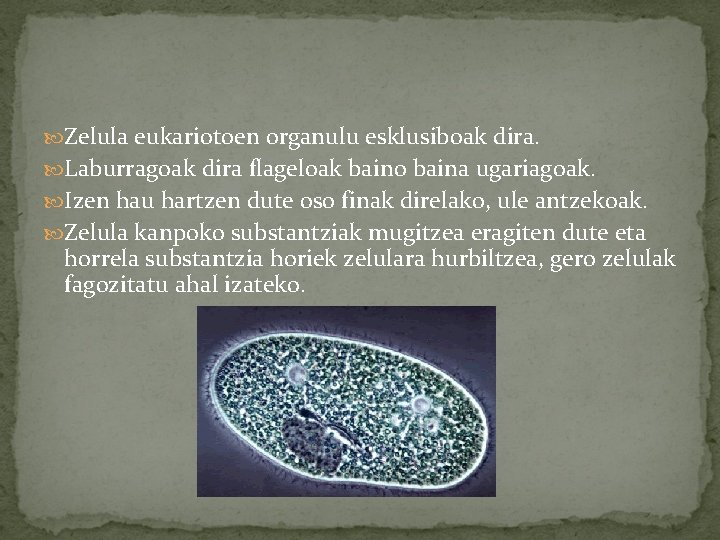  Zelula eukariotoen organulu esklusiboak dira. Laburragoak dira flageloak baino baina ugariagoak. Izen hau