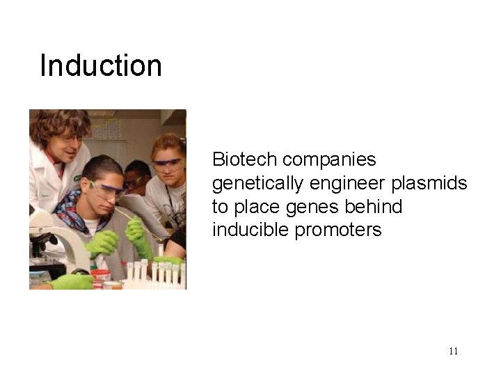 Induction Biotech companies genetically engineer plasmids to place genes behind inducible promoters 11 