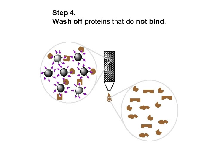 Step 4. Wash off proteins that do not bind. 