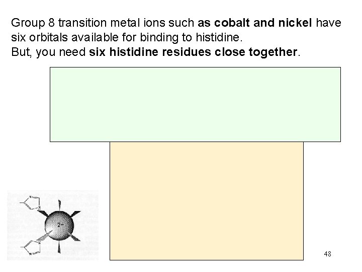 Group 8 transition metal ions such as cobalt and nickel have six orbitals available