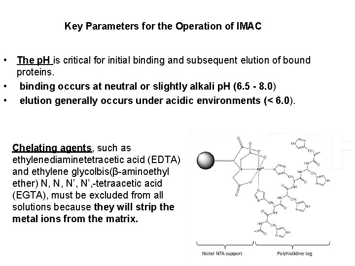 Key Parameters for the Operation of IMAC • The p. H is critical for