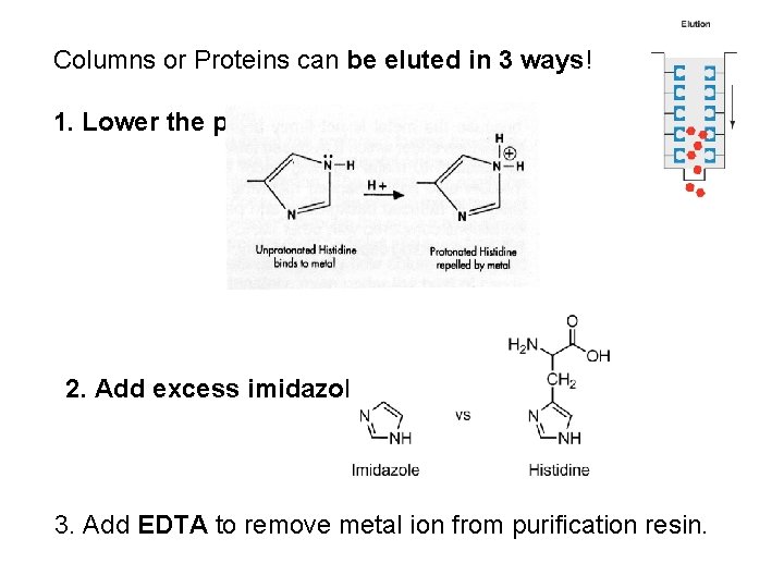 Columns or Proteins can be eluted in 3 ways! 1. Lower the p. H.