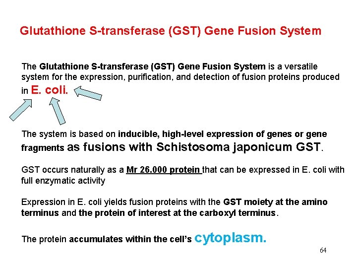Glutathione S-transferase (GST) Gene Fusion System The Glutathione S-transferase (GST) Gene Fusion System is