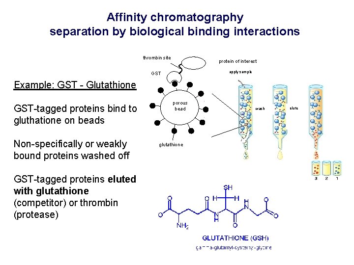 Affinity chromatography separation by biological binding interactions thrombin site protein of interest apply sample