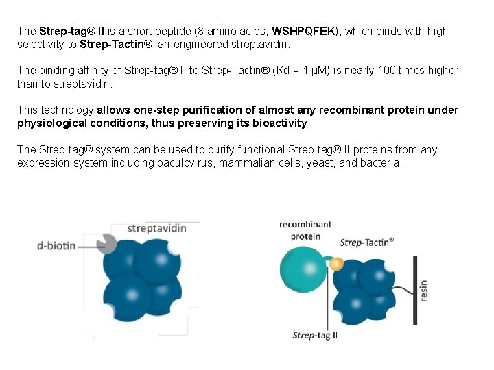 The Strep-tag® II is a short peptide (8 amino acids, WSHPQFEK), which binds with