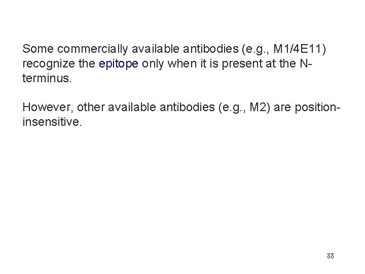 Some commercially available antibodies (e. g. , M 1/4 E 11) recognize the epitope