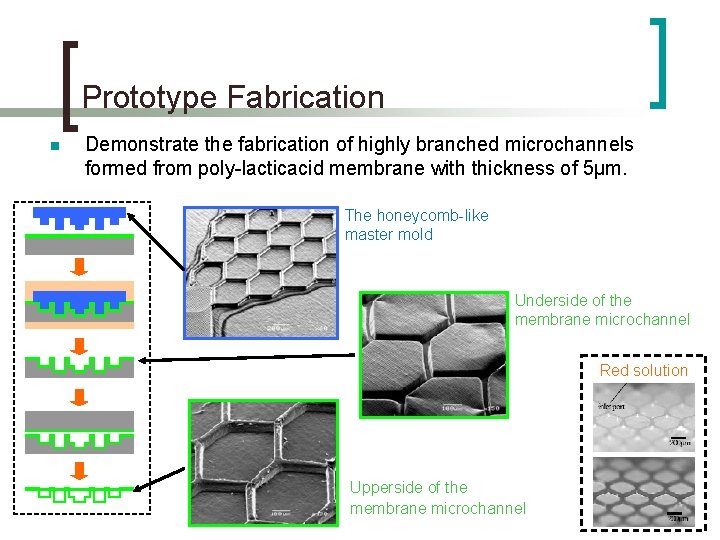 Prototype Fabrication n Demonstrate the fabrication of highly branched microchannels formed from poly-lacticacid membrane