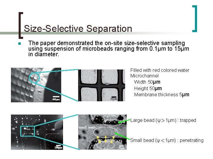 Size-Selective Separation n The paper demonstrated the on-site size-selective sampling using suspension of microbeads