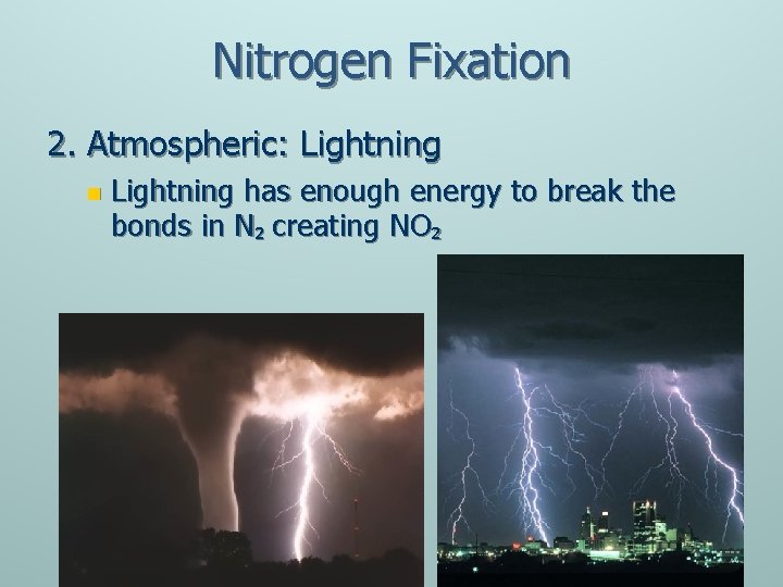 Nitrogen Fixation 2. Atmospheric: Lightning n Lightning has enough energy to break the bonds