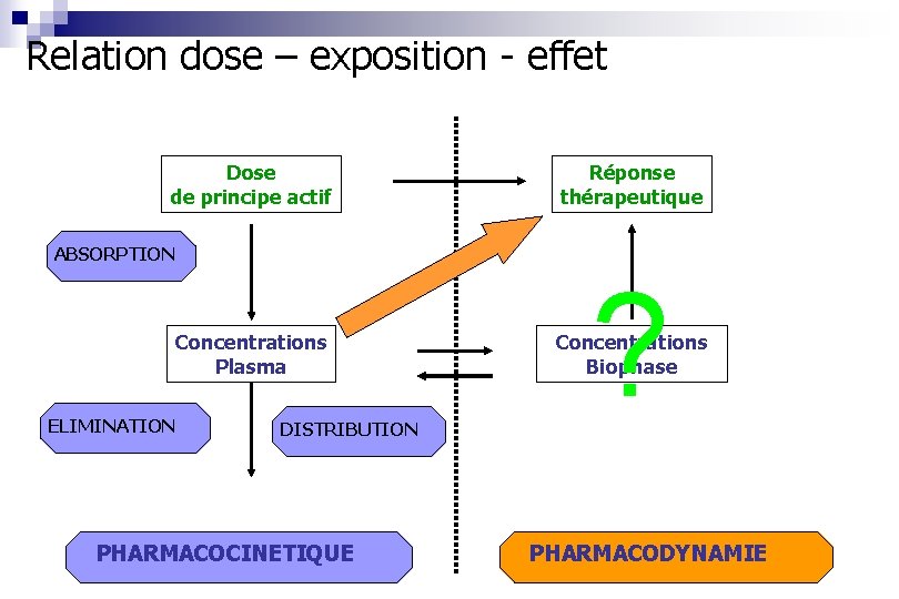 Relation dose – exposition - effet Dose de principe actif Réponse thérapeutique ABSORPTION Concentrations