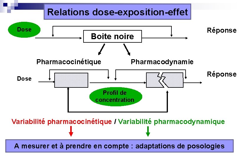 Relations dose-exposition-effet Dose Boite noire Pharmacocinétique Réponse Pharmacodynamie Réponse Dose Profil de concentration Variabilité