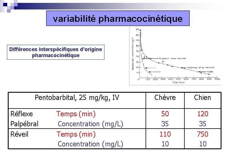 variabilité pharmacocinétique Différences interspécifiques d’origine pharmacocinétique Pentobarbital, 25 mg/kg, IV Chèvre Chien Réflexe Palpébral