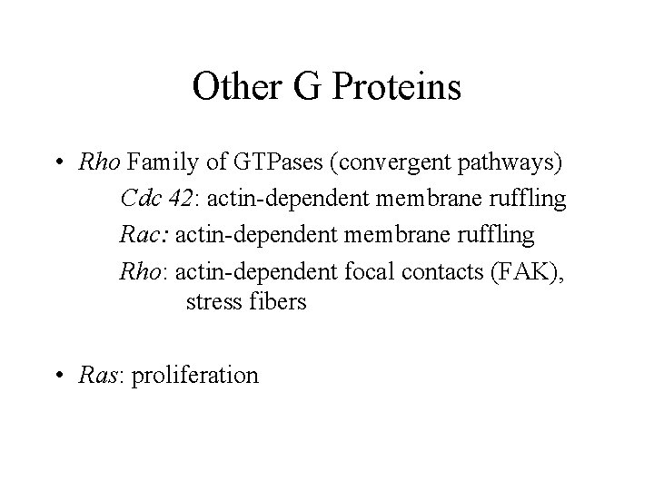 Other G Proteins • Rho Family of GTPases (convergent pathways) Cdc 42: actin-dependent membrane