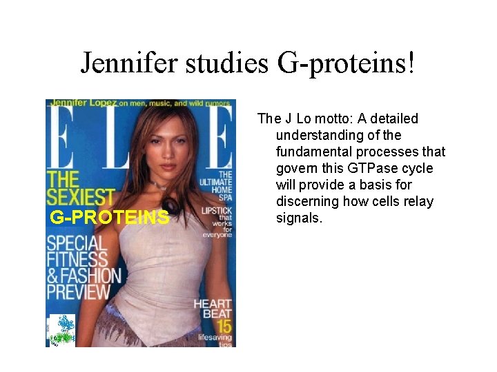 Jennifer studies G-proteins! G-PROTEINS The J Lo motto: A detailed understanding of the fundamental