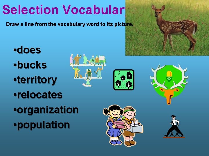 Selection Vocabulary Draw a line from the vocabulary word to its picture. • does