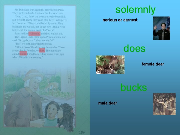 solemnly serious or earnest does female deer bucks male deer 