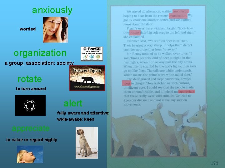 anxiously worried organization a group; association; society rotate to turn around alert fully aware