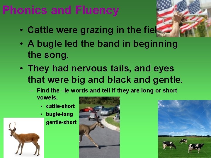 Phonics and Fluency • Cattle were grazing in the field. • A bugle led