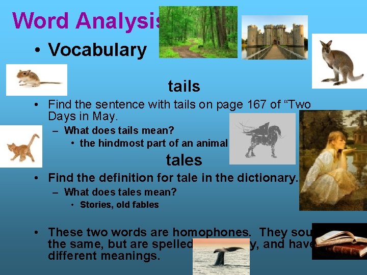 Word Analysis • Vocabulary tails • Find the sentence with tails on page 167