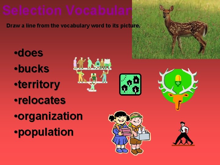 Selection Vocabulary Draw a line from the vocabulary word to its picture. • does