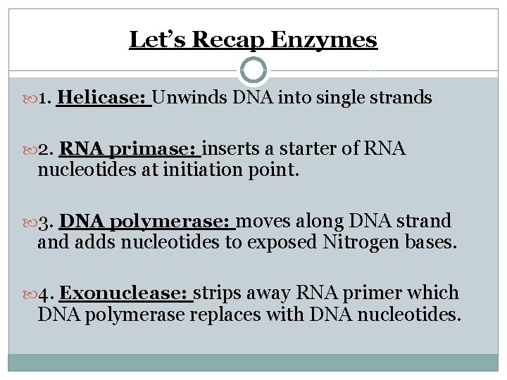 Let’s Recap Enzymes 1. Helicase: Unwinds DNA into single strands 2. RNA primase: inserts
