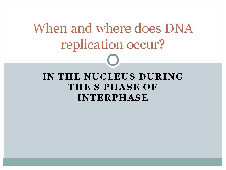 When and where does DNA replication occur? IN THE NUCLEUS DURING THE S PHASE